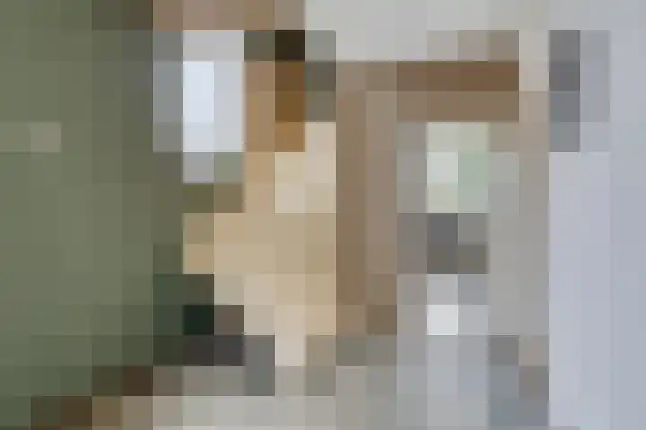 Pieter Bruegelstraat 9 Vlijmen thumbnail 16