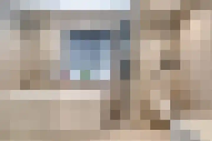 Pieter Bruegelstraat 9 Vlijmen thumbnail 20