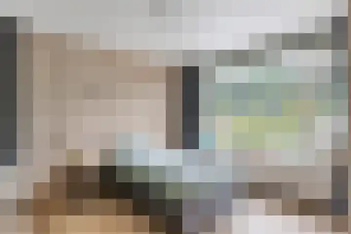 Pieter Bruegelstraat 9 Vlijmen thumbnail 23
