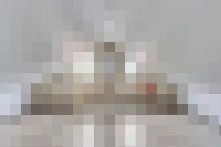 Pieter Bruegelstraat 9 Vlijmen thumbnail 26