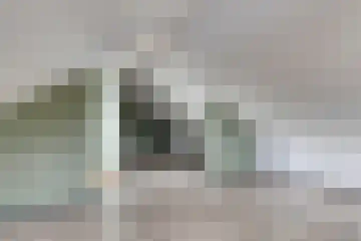 Pieter Bruegelstraat 9 Vlijmen thumbnail 27