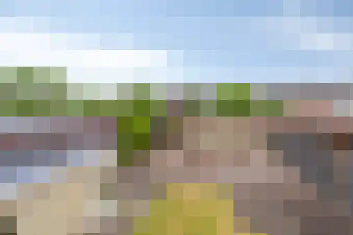 Pieter Bruegelstraat 9 Vlijmen thumbnail 32