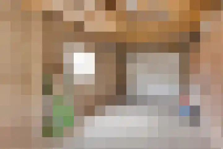 Pieter Bruegelstraat 9 Vlijmen thumbnail 33