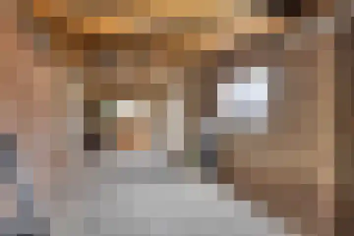 Pieter Bruegelstraat 9 Vlijmen thumbnail 34