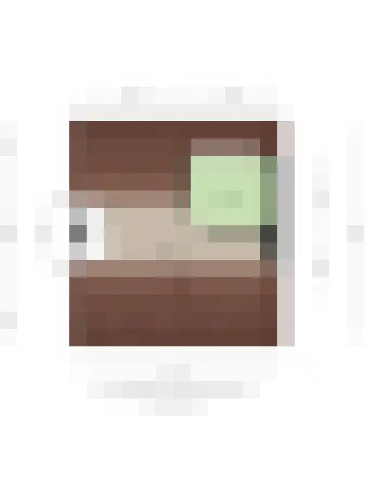 Pieter Bruegelstraat 9 Vlijmen thumbnail 38