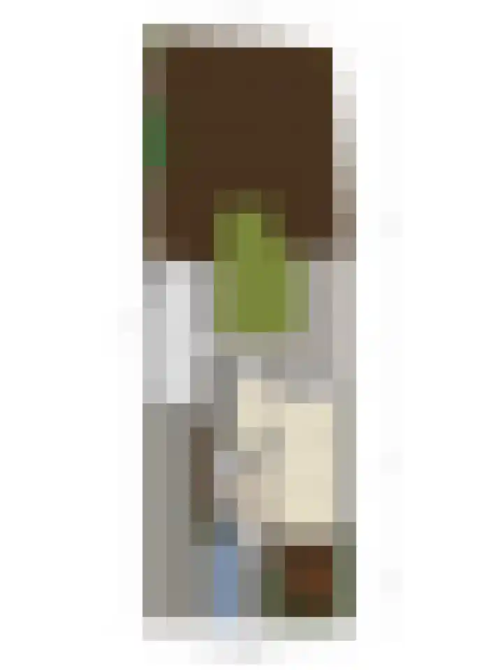 Pieter Bruegelstraat 9 Vlijmen thumbnail 41