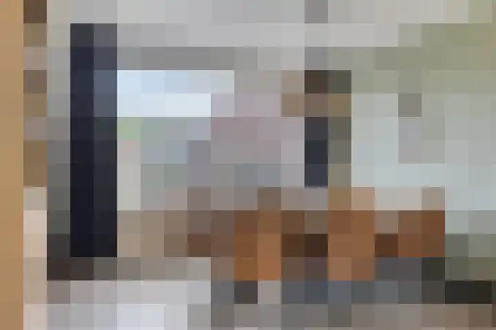 Pieter Bruegelstraat 9 Vlijmen thumbnail 9