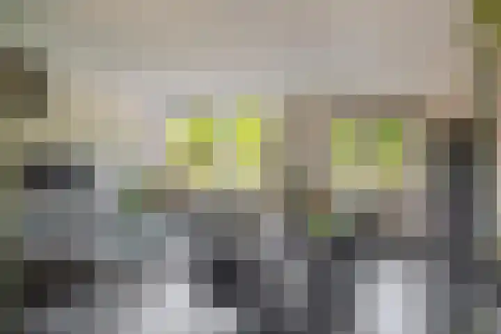 Pieter Brueghellaan 11 Lopik thumbnail 11