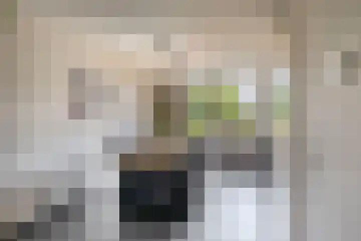 Pieter Brueghellaan 11 Lopik thumbnail 12