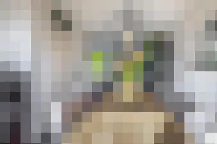 Pieter Brueghellaan 11 Lopik thumbnail 13