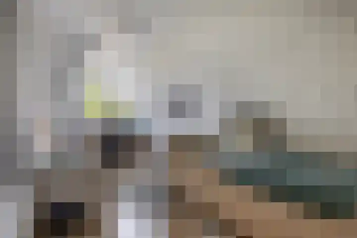 Pieter Brueghellaan 11 Lopik thumbnail 17