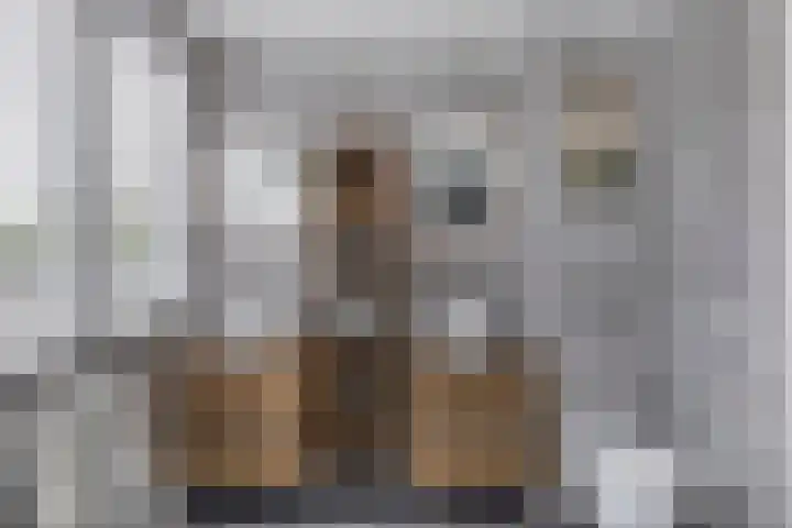 Pieter Brueghellaan 11 Lopik thumbnail 20