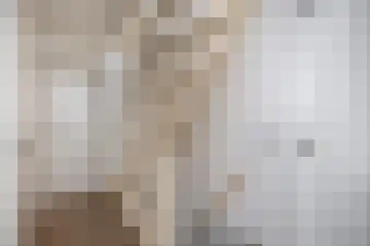 Pieter Brueghellaan 11 Lopik thumbnail 23