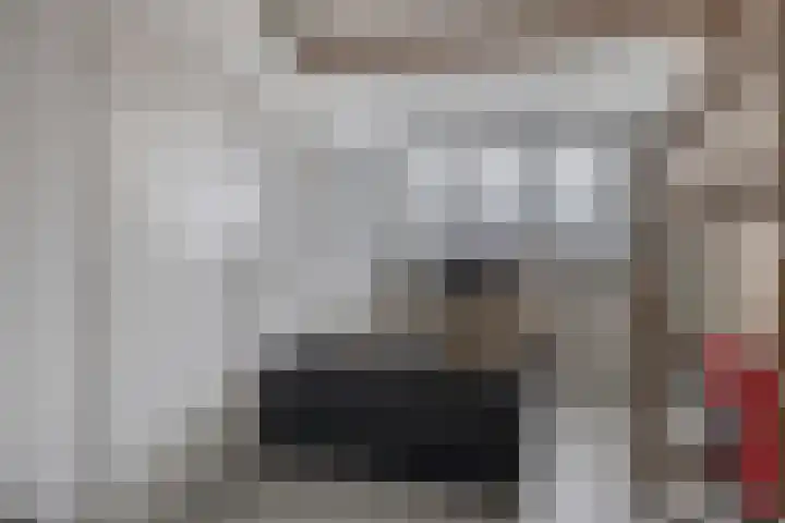 Pieter Brueghellaan 11 Lopik thumbnail 24