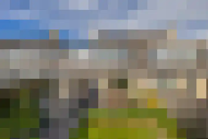 Pieter Brueghellaan 11 Lopik thumbnail 30