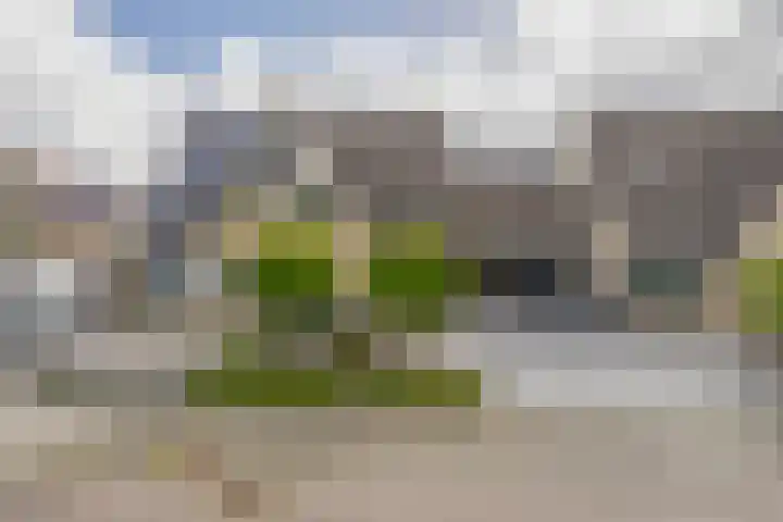Pieter Brueghellaan 11 Lopik thumbnail 33