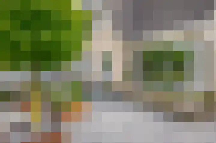 Pieter Brueghellaan 11 Lopik thumbnail 6