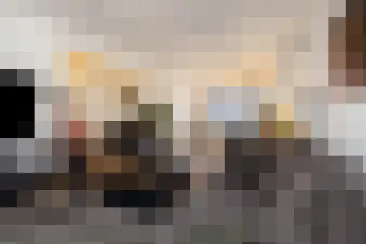Pieter Brueghelstraat 1 Helmond thumbnail 14