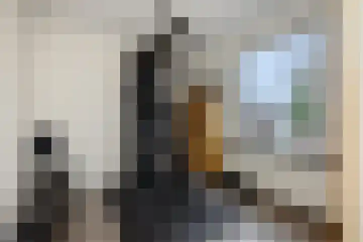 Pieter Brueghelstraat 1 Helmond thumbnail 21