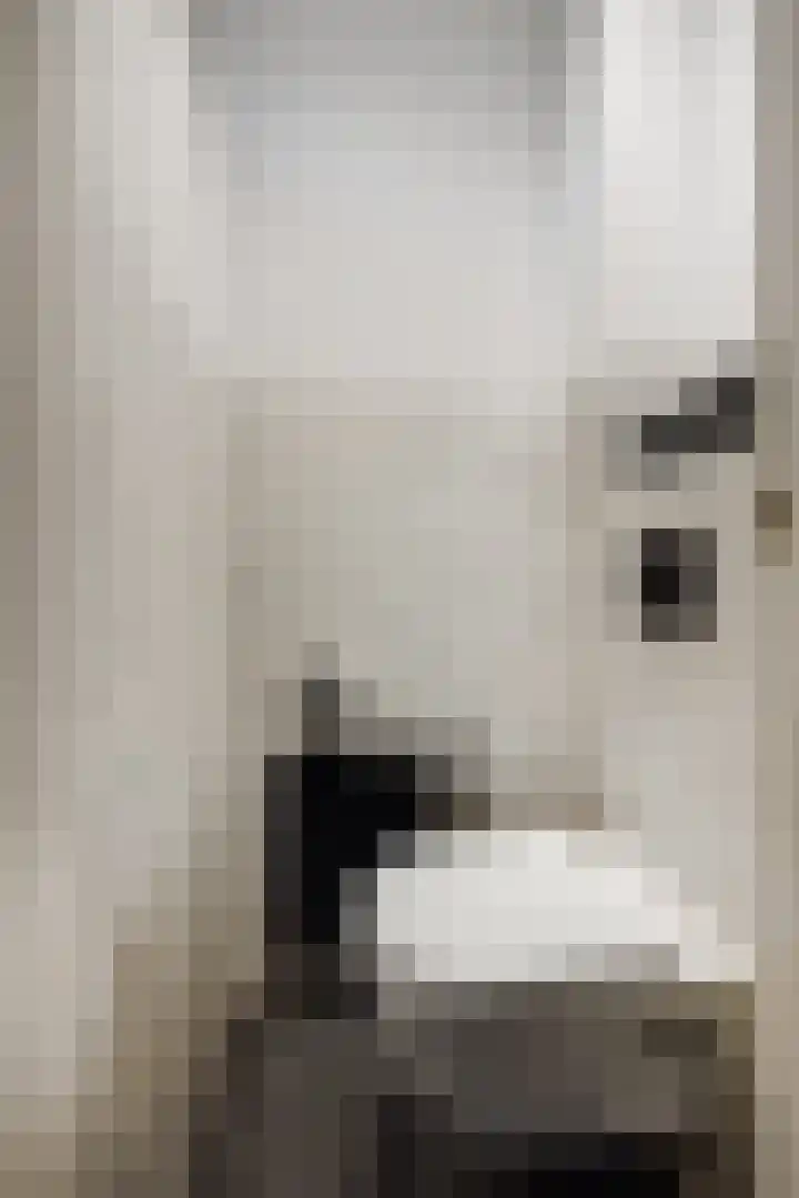 Pieter Brueghelstraat 1 Helmond thumbnail 6