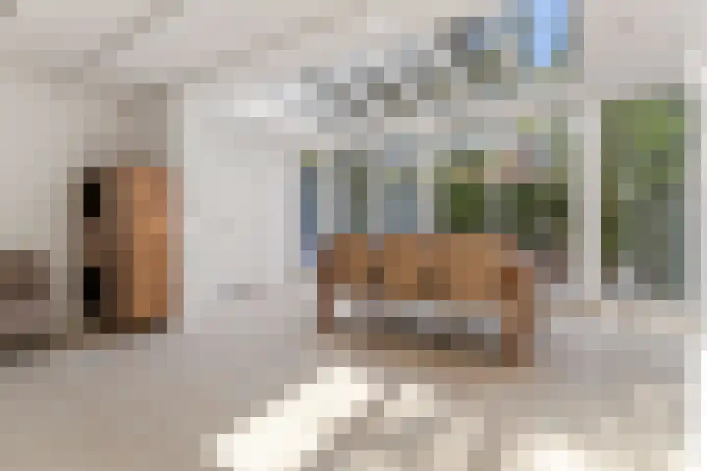 Pieter Brueghelstraat 10 Elsloo thumbnail 22