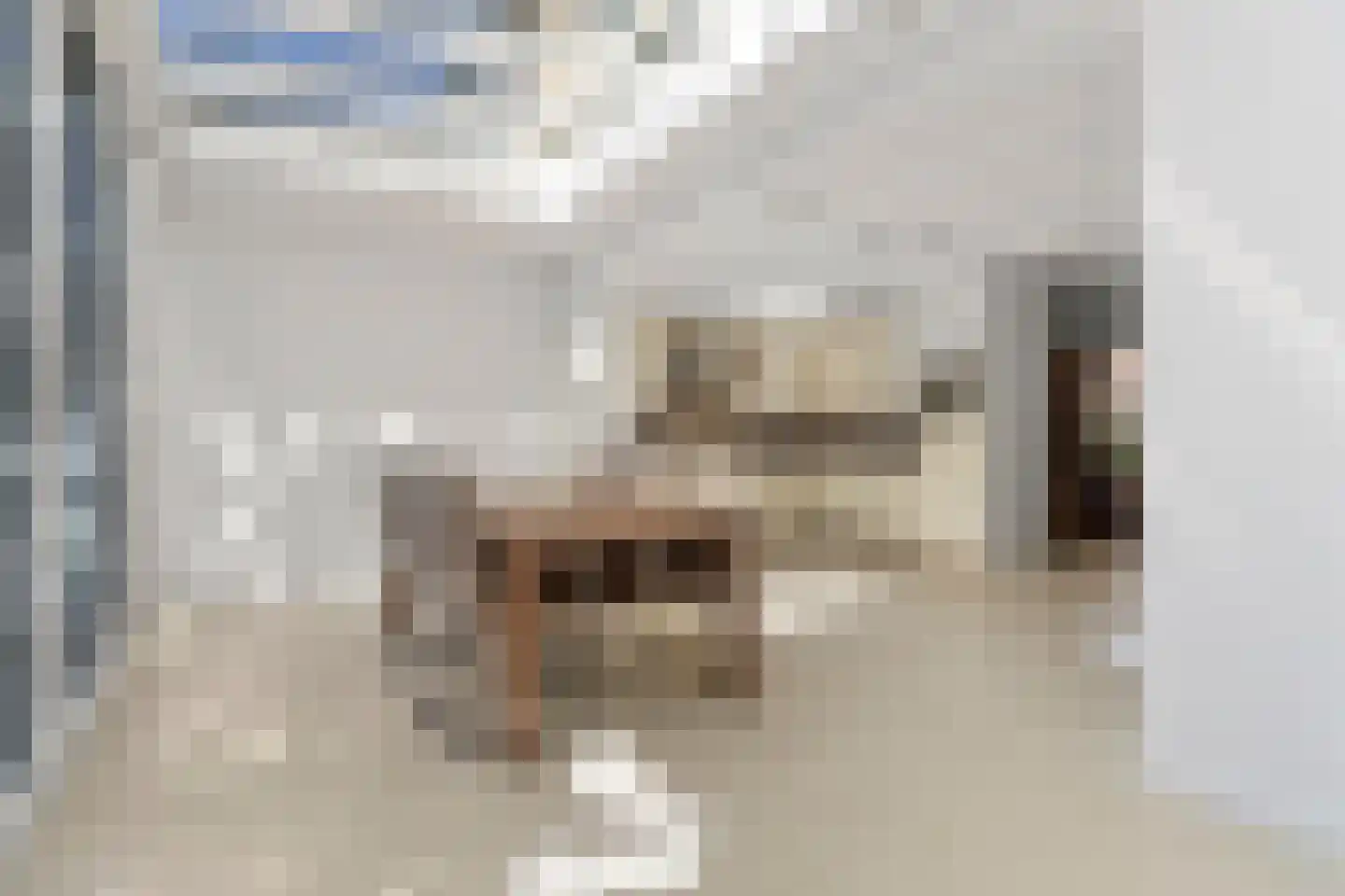 Pieter Brueghelstraat 10 Elsloo thumbnail 25