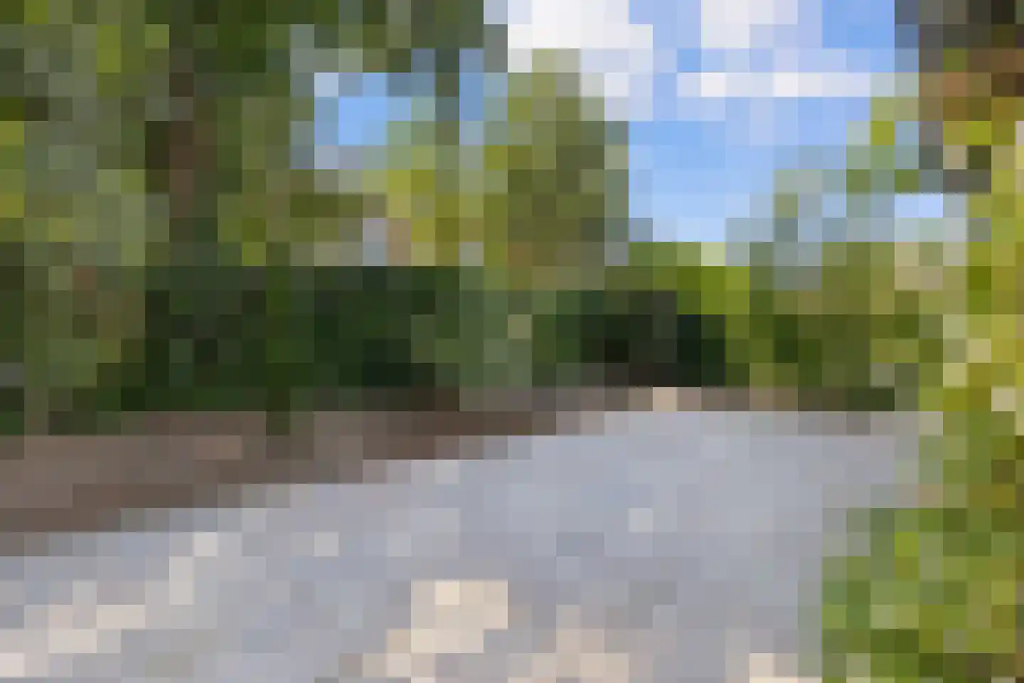 Pieter Brueghelstraat 10 Elsloo thumbnail 5