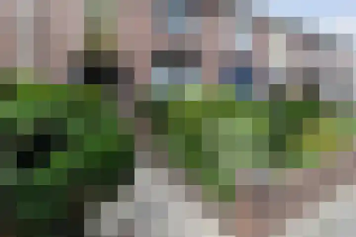 Pieter Brueghelstraat 11 Roosendaal thumbnail 34