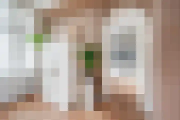 Pieter Brueghelstraat 12 Papendrecht thumbnail 6