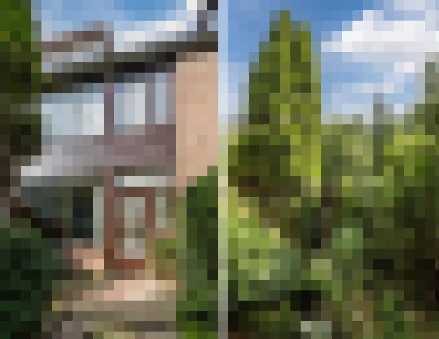 Pieter Brueghelstraat 14 Hazerswoude-Dorp thumbnail 59