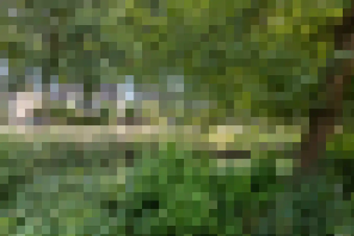 Pieter Brueghelstraat 14 Hazerswoude-Dorp thumbnail 61