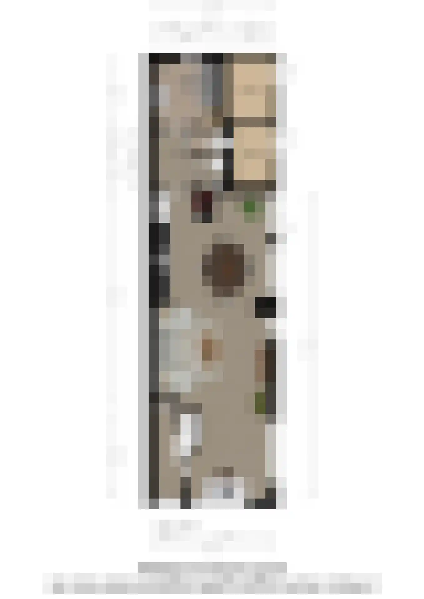 Pieter Brueghelstraat 15 Breda thumbnail 36