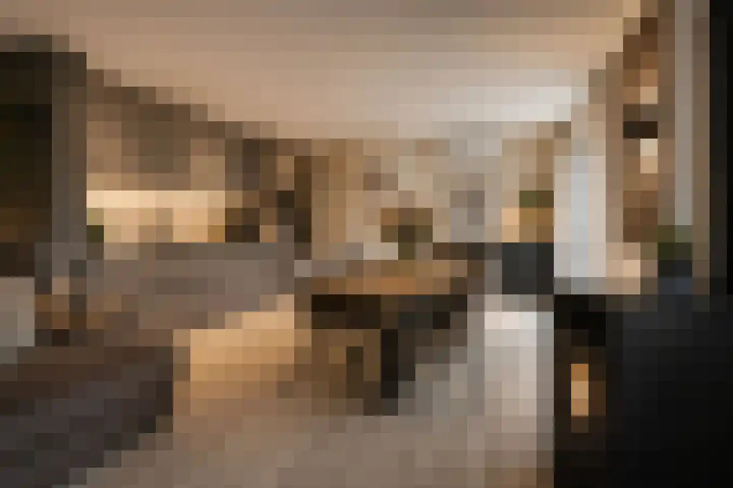 Pieter Brueghelstraat 15 Breda thumbnail 6