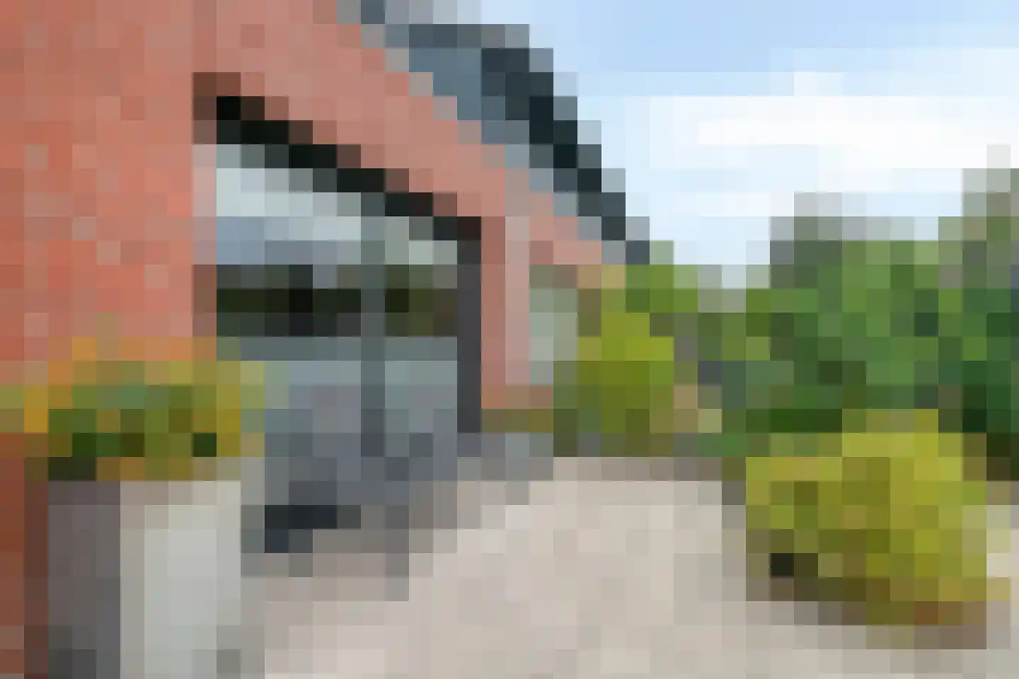 Pieter Brueghelstraat 77 Almere thumbnail 6