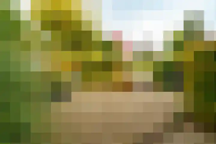 Pieter Brueghelstraat 9 Almere thumbnail 30