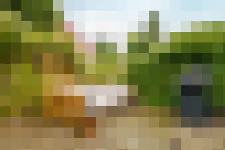 Pieter Brueghelstraat 9 Almere thumbnail 31
