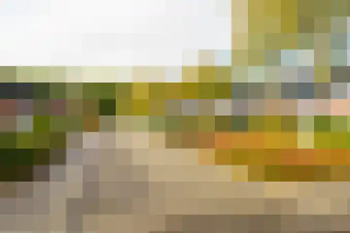 Pieter Brueghelstraat 9 Almere thumbnail 37