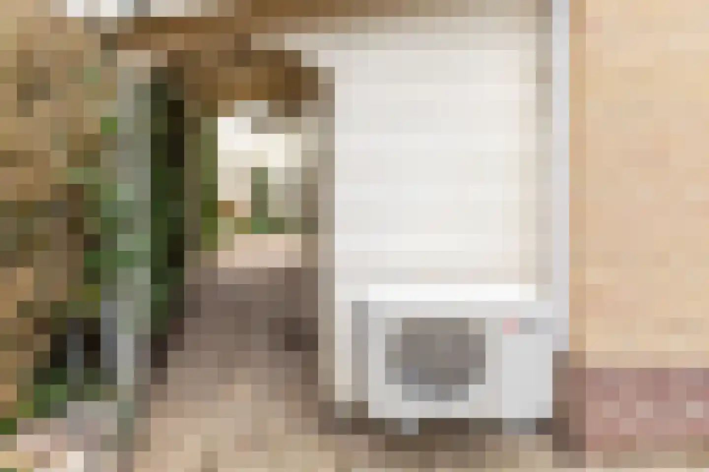 Pieter C. Hooftstraat 22 Kesteren thumbnail 32