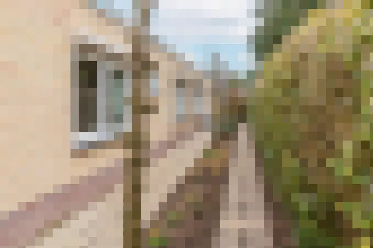 Pieter C. Hooftstraat 22 Kesteren thumbnail 33