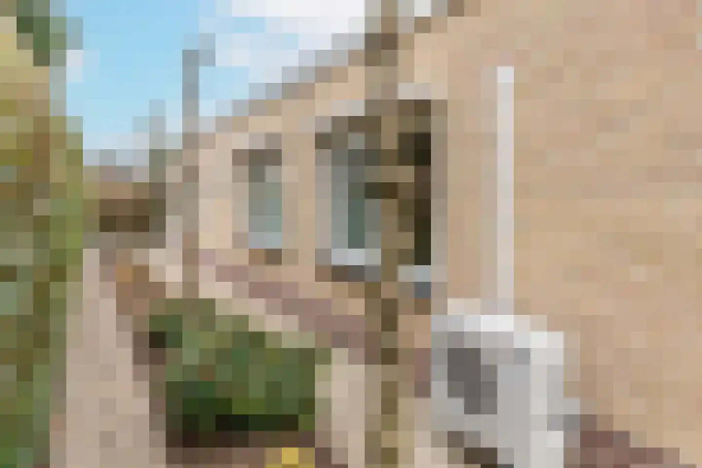 Pieter C. Hooftstraat 22 Kesteren thumbnail 34