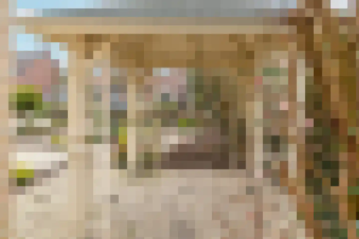 Pieter C. Hooftstraat 22 Kesteren thumbnail 35