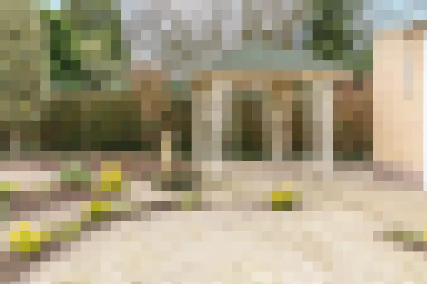Pieter C. Hooftstraat 22 Kesteren thumbnail 38