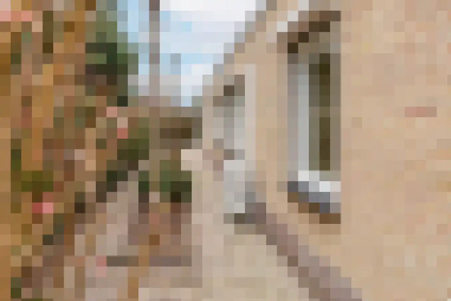 Pieter C. Hooftstraat 22 Kesteren thumbnail 56
