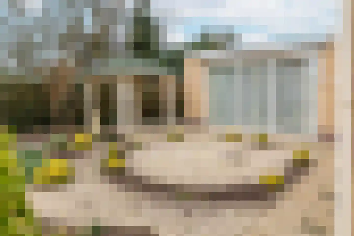 Pieter C. Hooftstraat 22 Kesteren thumbnail 6