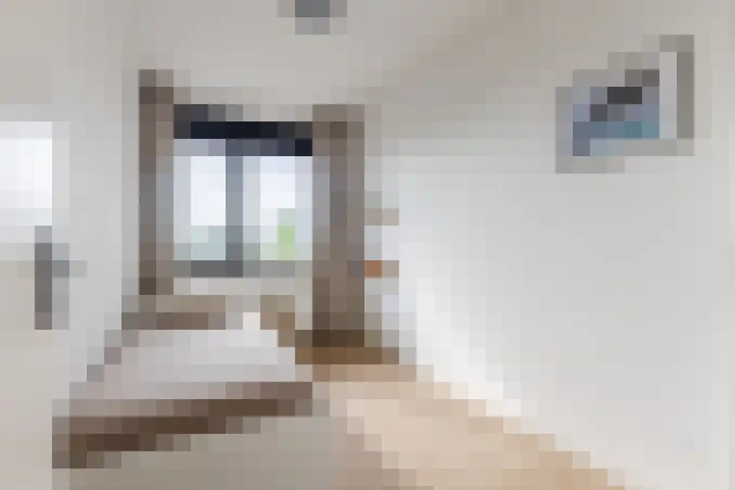 Pieter Calandlaan 1061 Amsterdam thumbnail 18