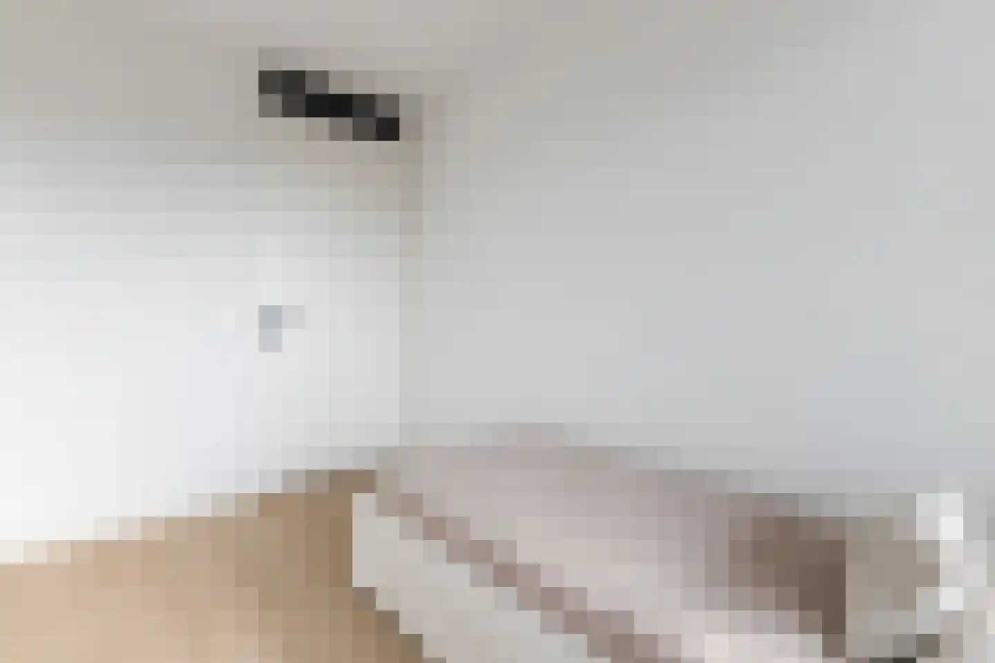 Pieter Calandlaan 1061 Amsterdam thumbnail 20