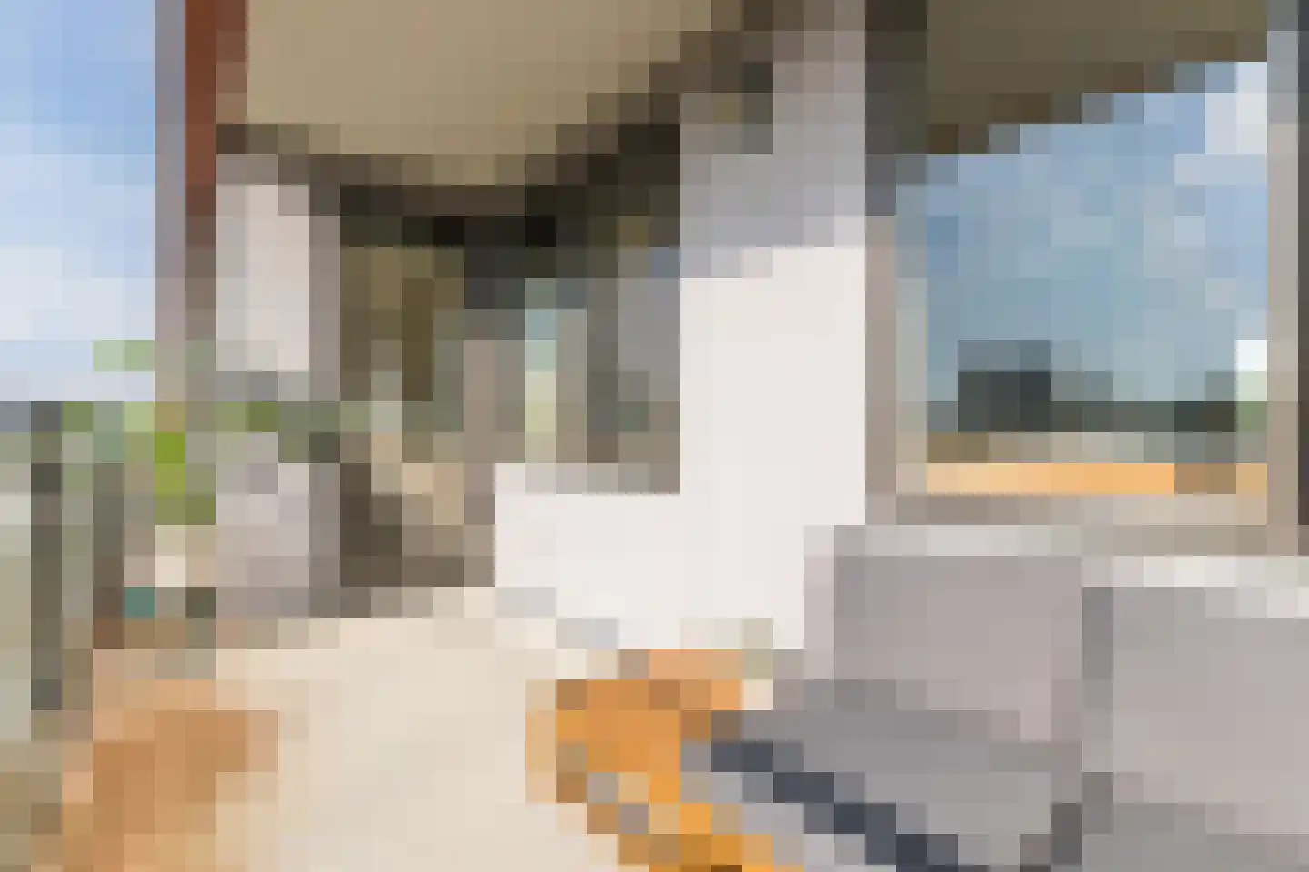 Pieter Calandlaan 1061 Amsterdam thumbnail 21