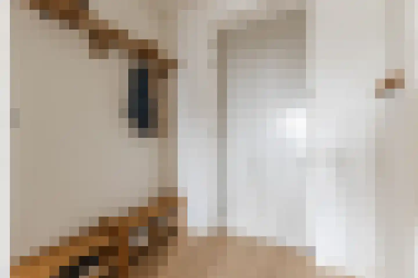 Pieter Calandlaan 1061 Amsterdam thumbnail 26