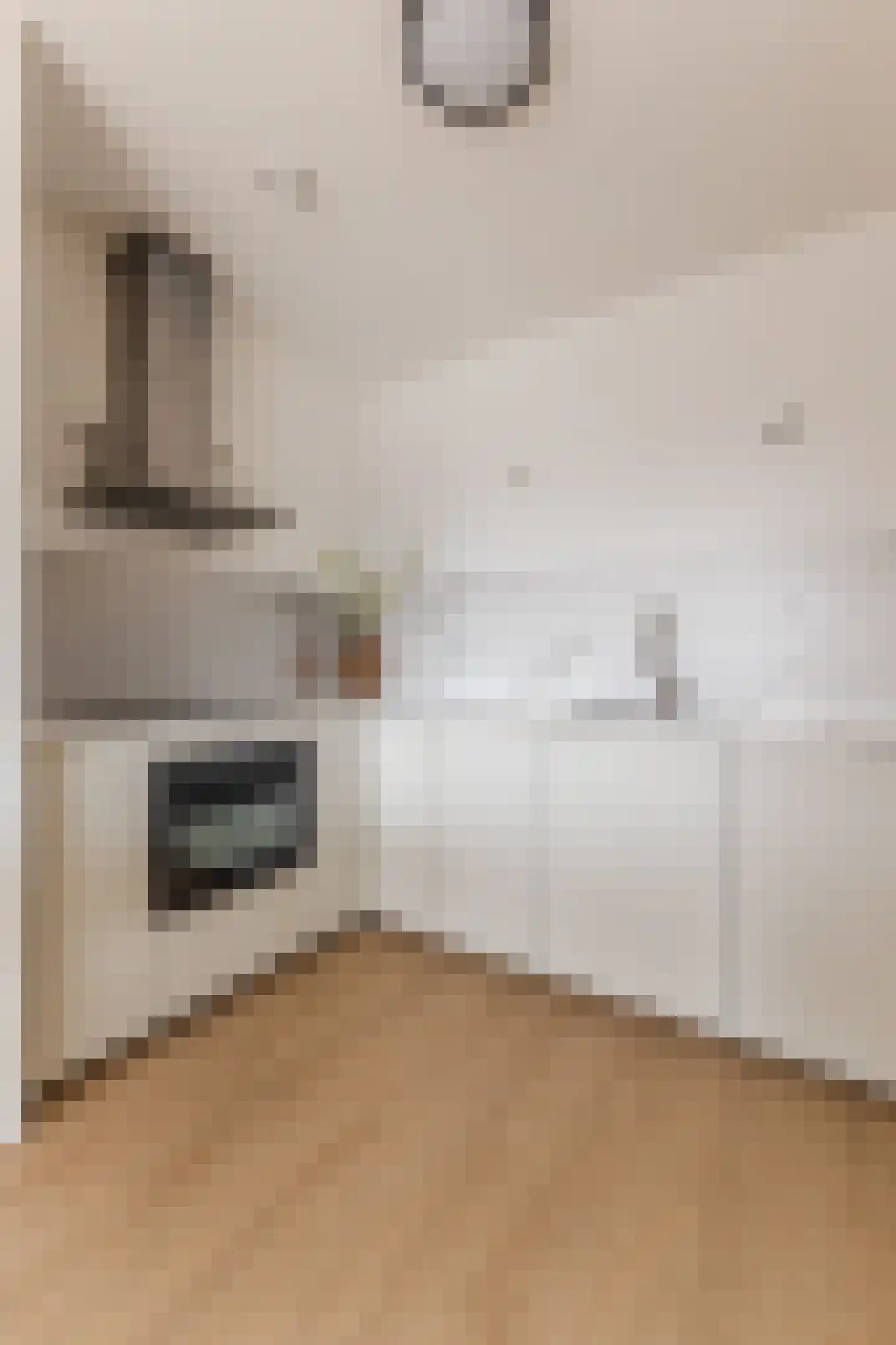 Pieter Calandlaan 1061 Amsterdam thumbnail 31