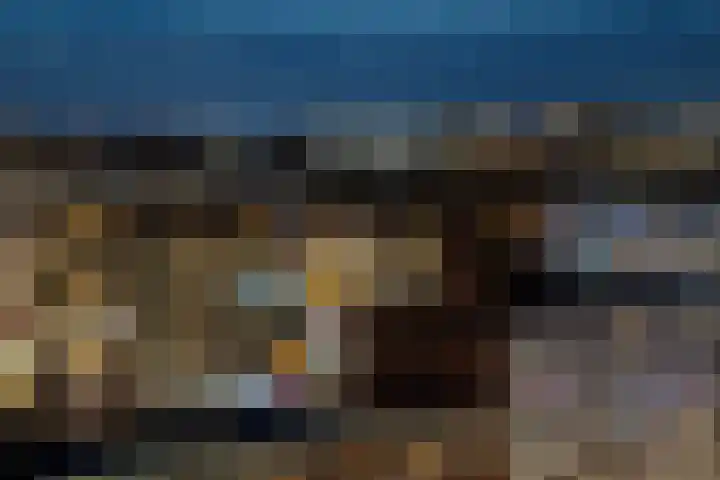 Pieter Calandlaan 1123 Amsterdam thumbnail 31
